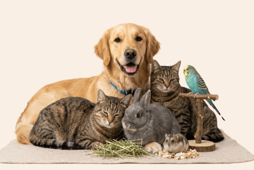 Pets