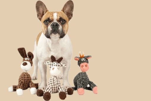 Pet Toys