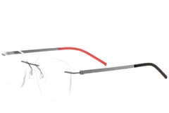 BS2012-0859_Silver_Invisible_Metal_Glasses_corner