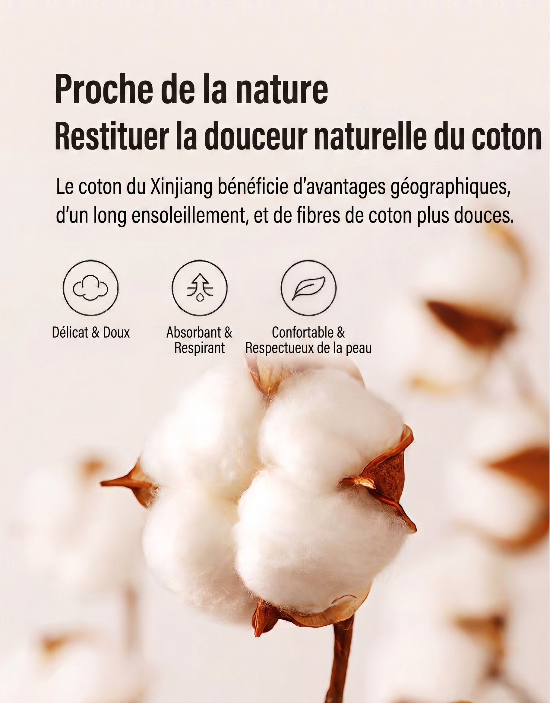 Ensemble de 2 taies d'oreiller universelles matelassées en coton ultra doux - Housse hygiénique de voyage