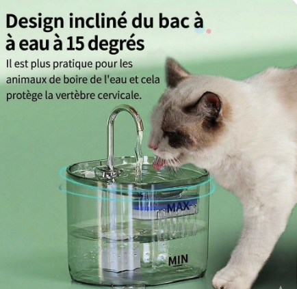 Fontaine à eau automatique pour chats et petits chiens - 2,2 L - Modèle FT666 Gris transparent - Sortie d'eau - Design tête de chat