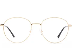 BS0420-0275_Golden_Round_Metal_Glasses_front