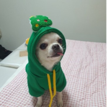 Christmas Holiday Dog Hoodie Pet Warm Sweatshirt Coat