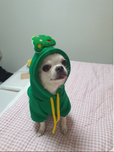 Christmas Holiday Dog Hoodie Pet Warm Sweatshirt Coat