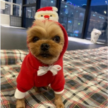 Christmas Holiday Dog Hoodie Pet Warm Sweatshirt Coat