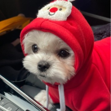Christmas Holiday Dog Hoodie Pet Warm Sweatshirt Coat