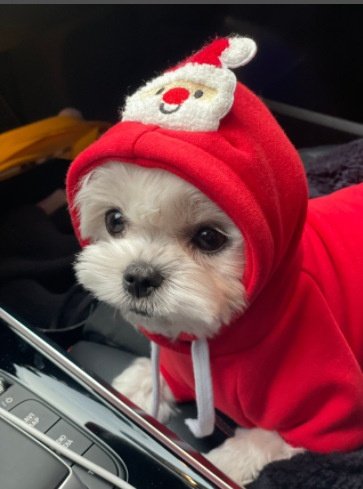 Christmas Holiday Dog Hoodie Pet Warm Sweatshirt Coat