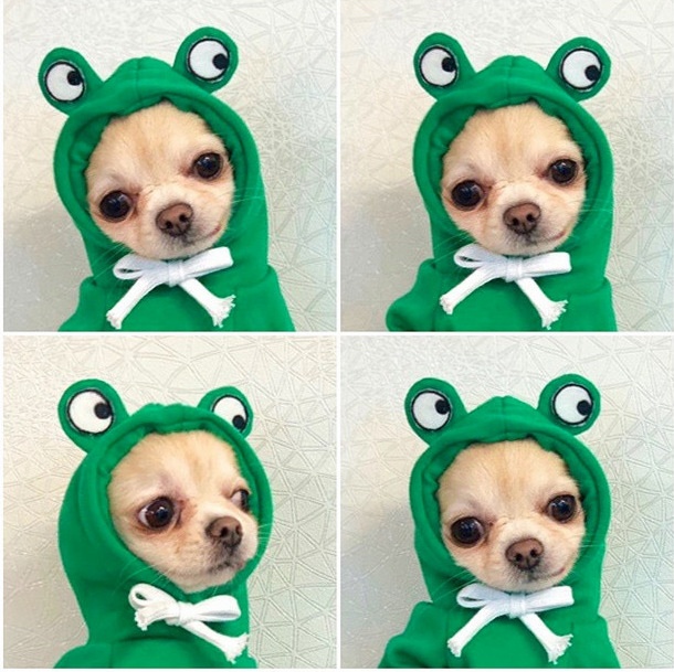 Fleece Character Hood Dog Sweatshirt Hoodie