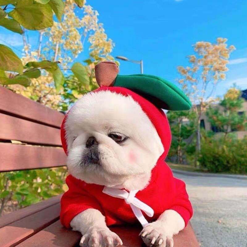 Fleece Character Hood Dog Sweatshirt Hoodie