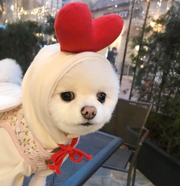 Fleece Character Hood Dog Sweatshirt Hoodie