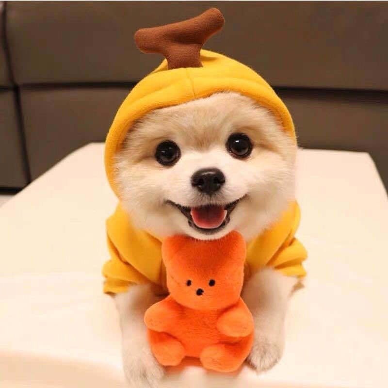 Fleece Character Hood Dog Sweatshirt Hoodie