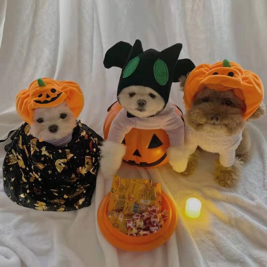 Halloween Pumpkin Pet Hat Costume Headwear