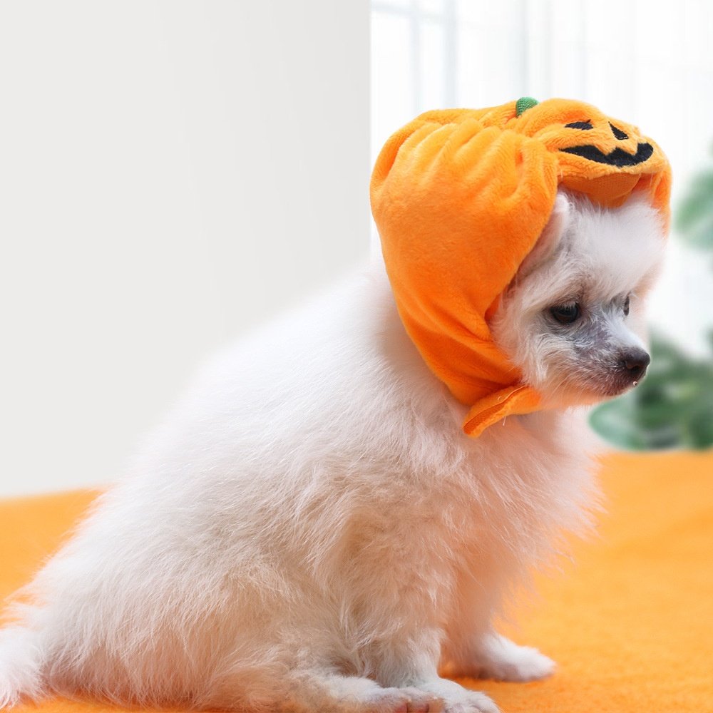 Halloween Pumpkin Pet Hat Costume Headwear