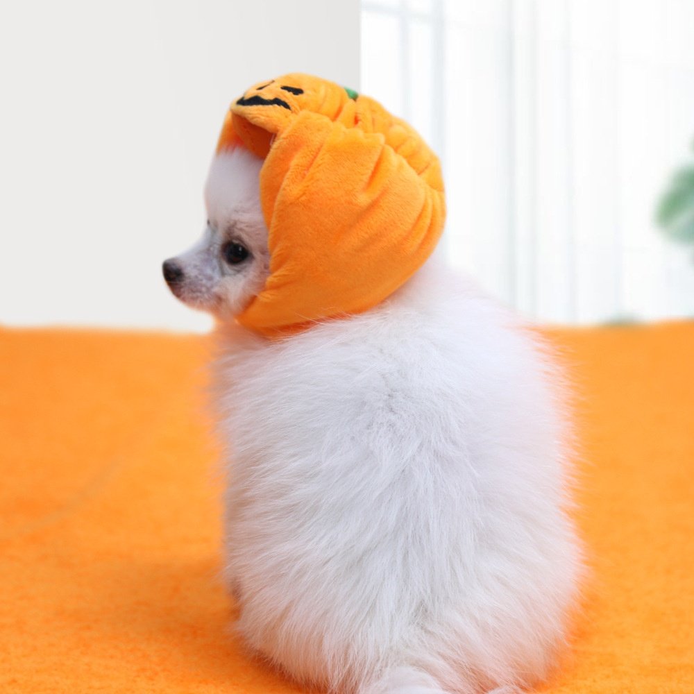 Halloween Pumpkin Pet Hat Costume Headwear
