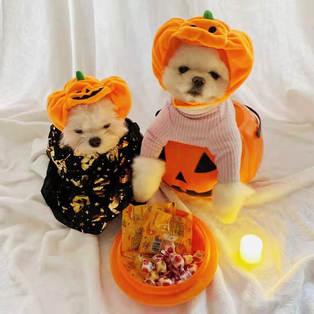 Halloween Pumpkin Pet Hat Costume Headwear