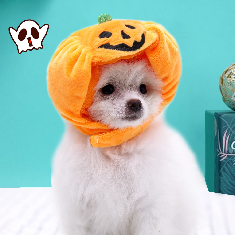 Halloween Pumpkin Pet Hat Costume Headwear