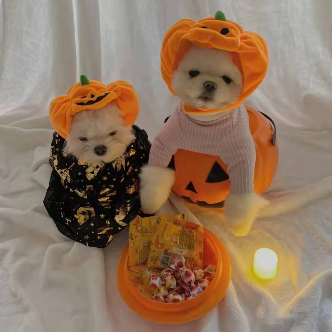 Halloween Pumpkin Pet Hat Costume Headwear