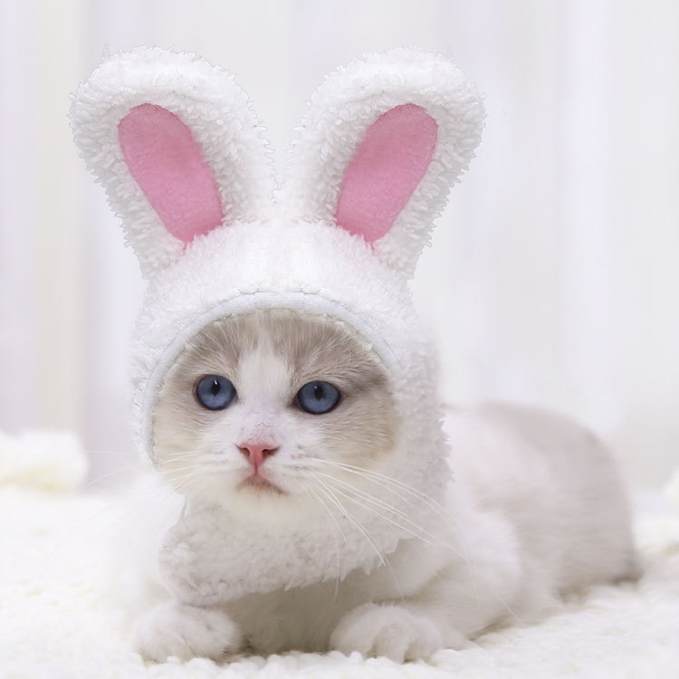 Plush Bunny Ears Pet Hat Adjustable Headwear for Cats Dogs