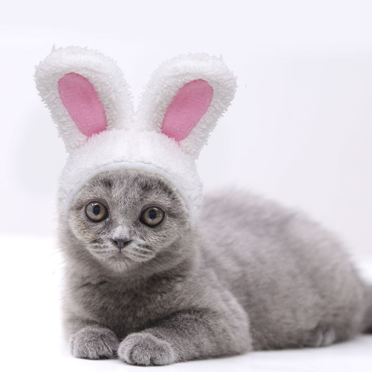 Plush Bunny Ears Pet Hat Adjustable Headwear for Cats Dogs