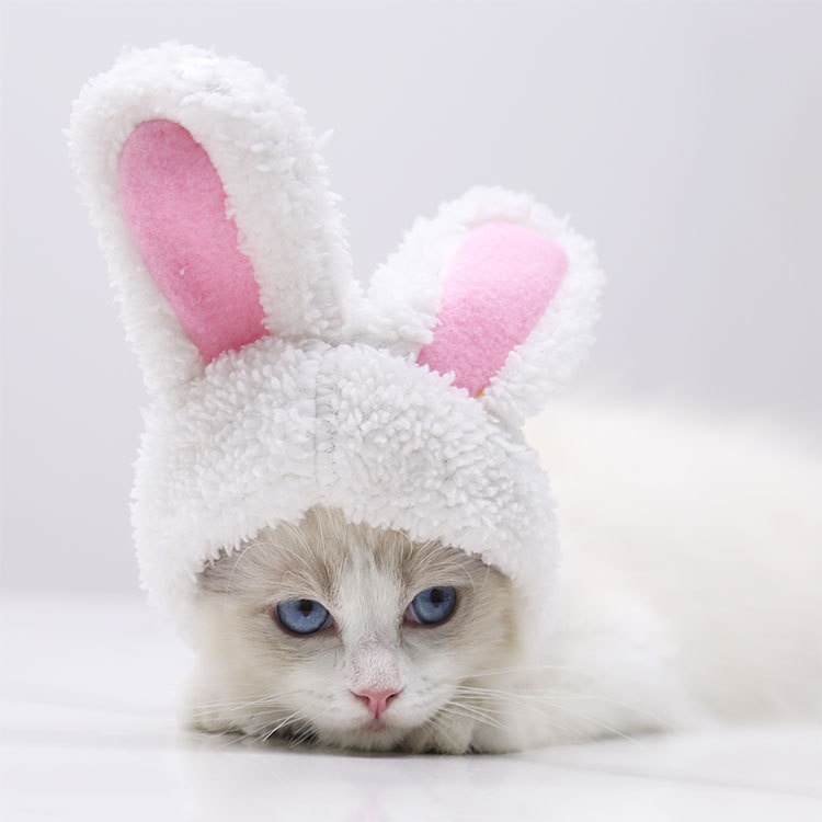 Plush Bunny Ears Pet Hat Adjustable Headwear for Cats Dogs