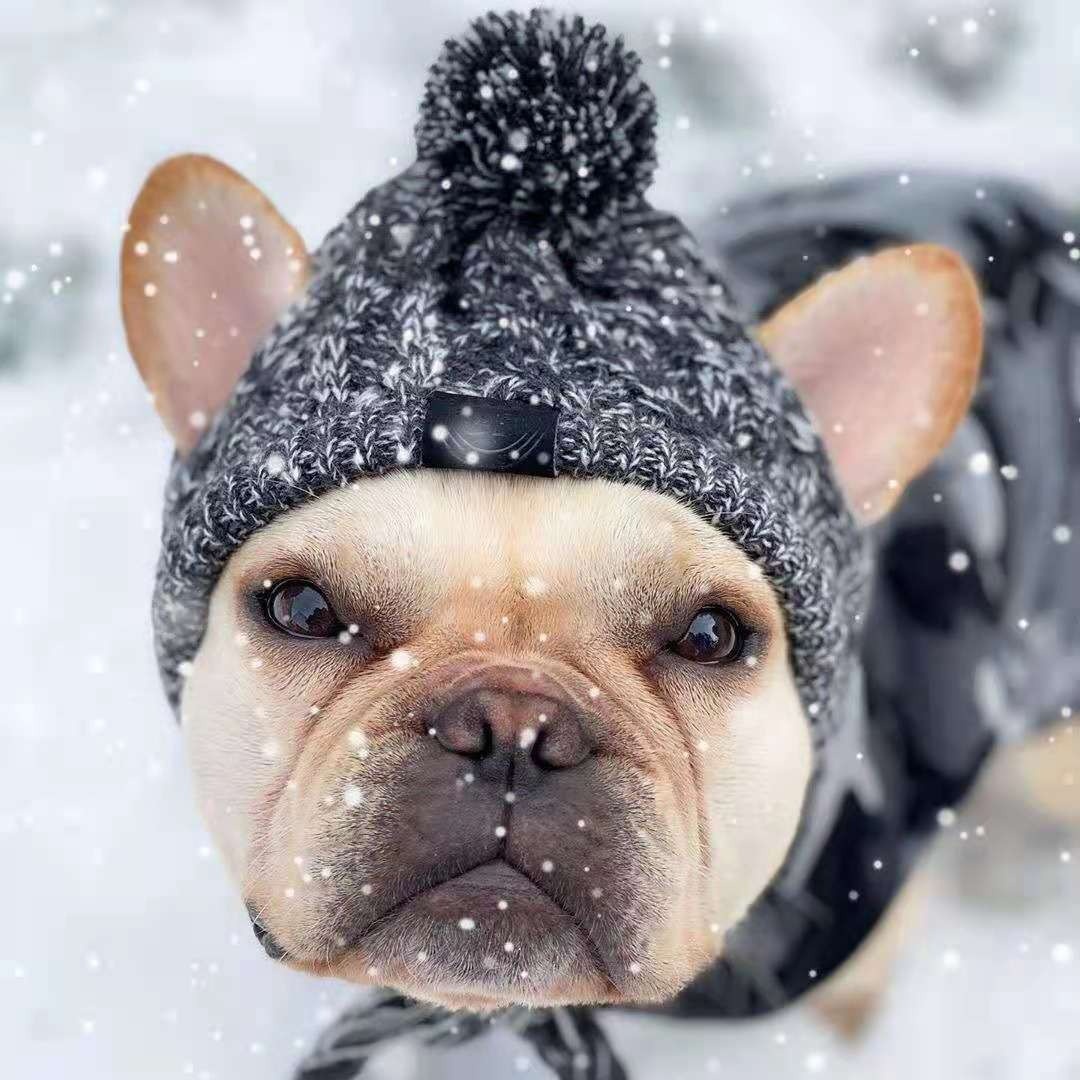 Winter Knit Dog Beanie Hat with Pom Pom and Tassels