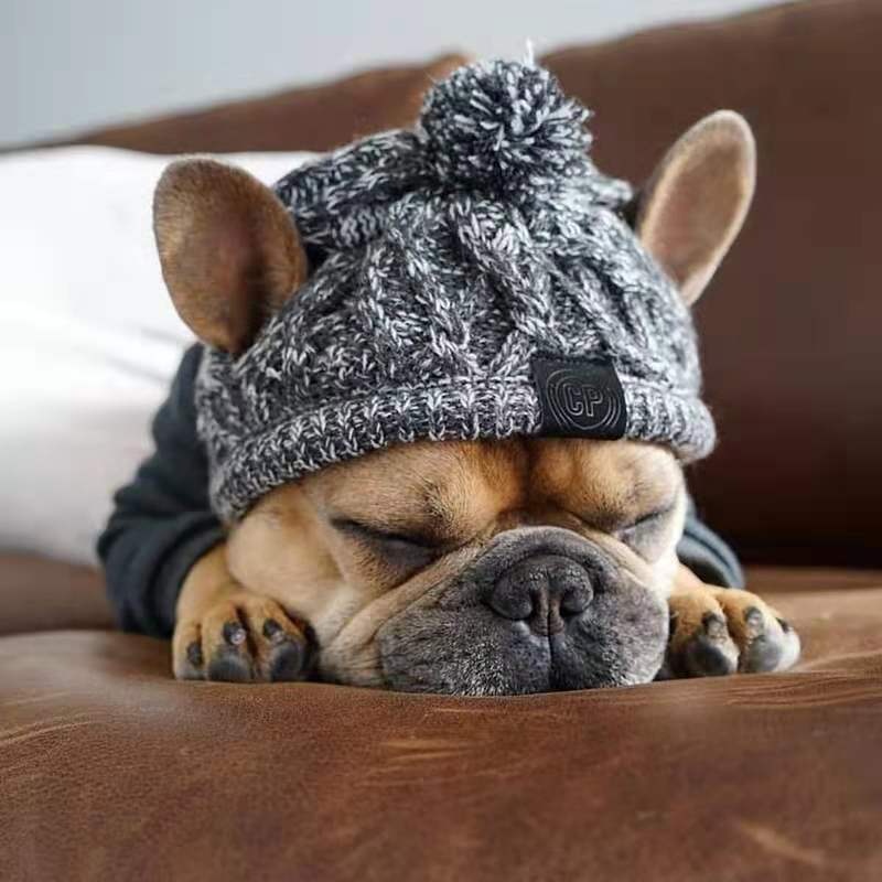 Winter Knit Dog Beanie Hat with Pom Pom and Tassels