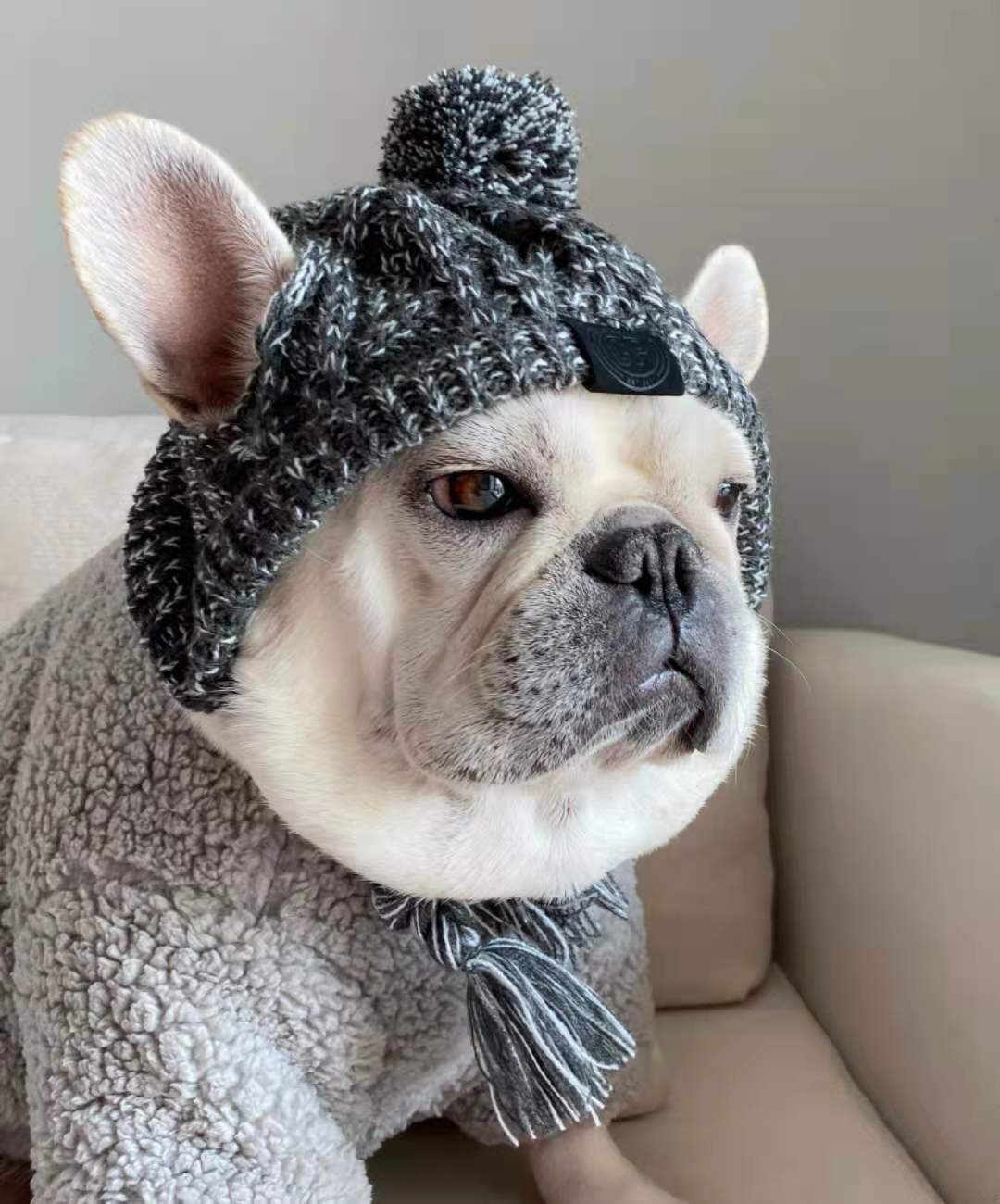 Winter Knit Dog Beanie Hat with Pom Pom and Tassels