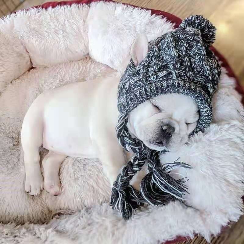 Winter Knit Dog Beanie Hat with Pom Pom and Tassels