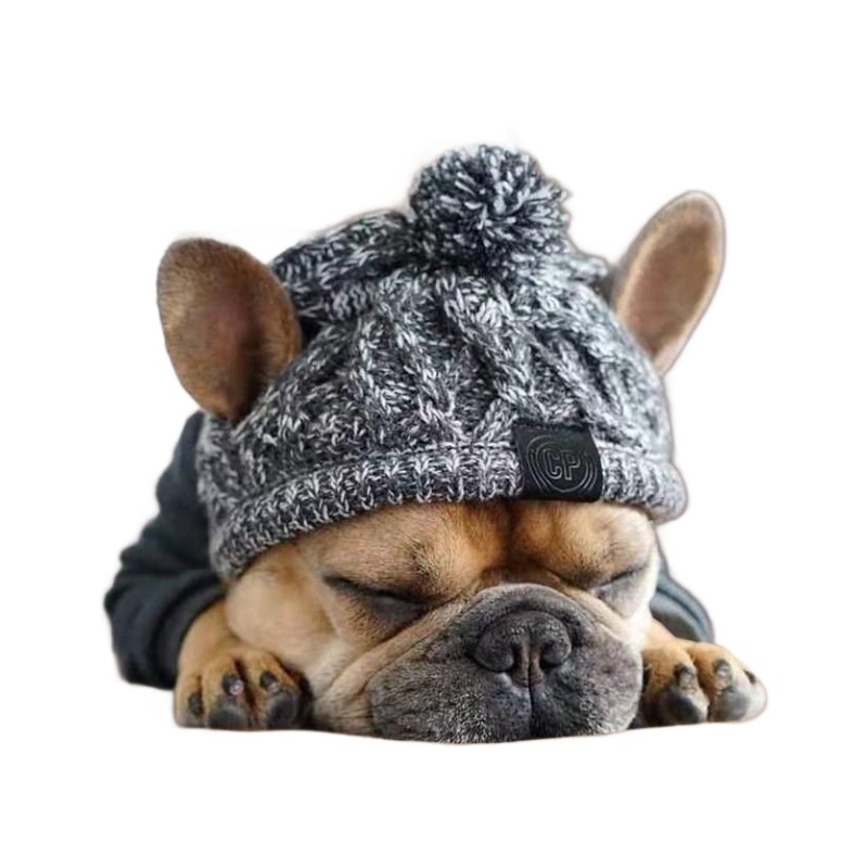 Winter Knit Dog Beanie Hat with Pom Pom and Tassels