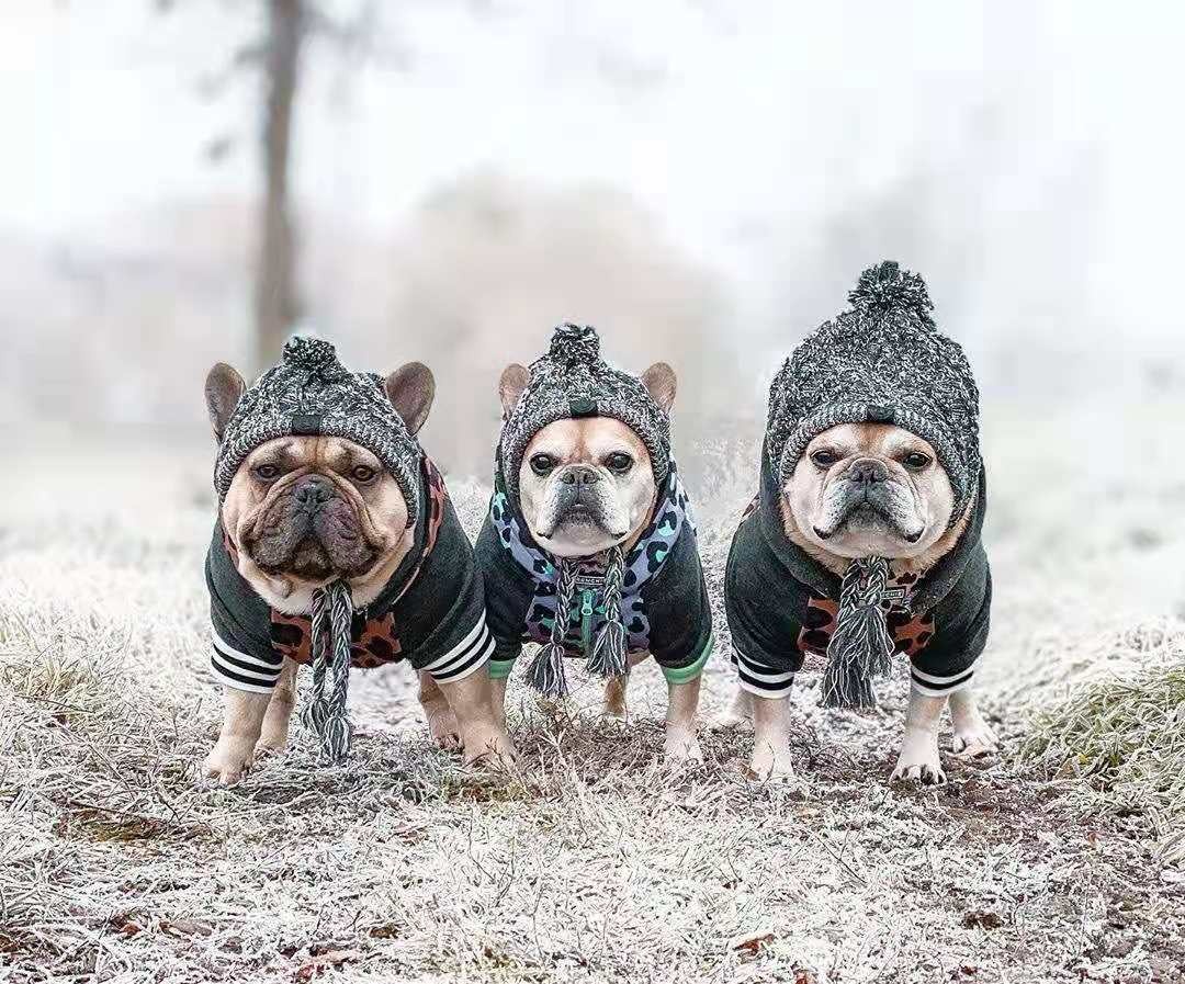 Winter Knit Dog Beanie Hat with Pom Pom and Tassels