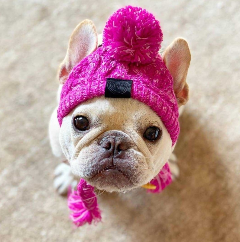 Winter Knit Dog Beanie Hat with Pom Pom and Tassels