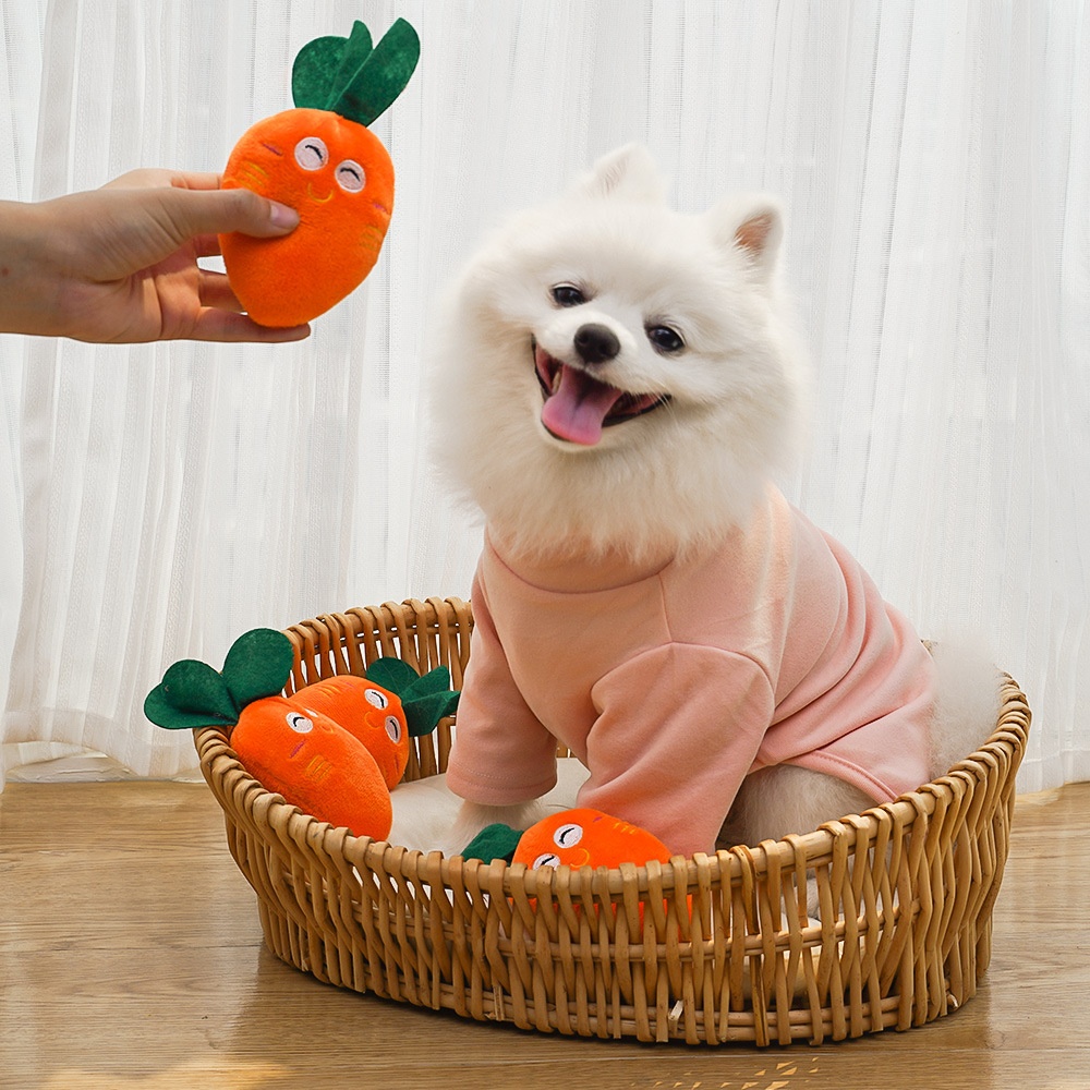 Squeaky Plush Carrot Pet Toy