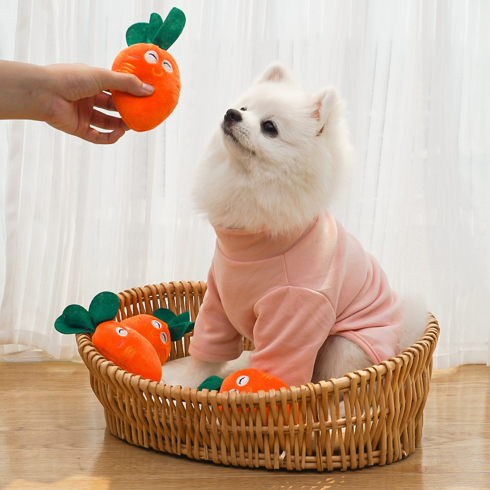 Squeaky Plush Carrot Pet Toy