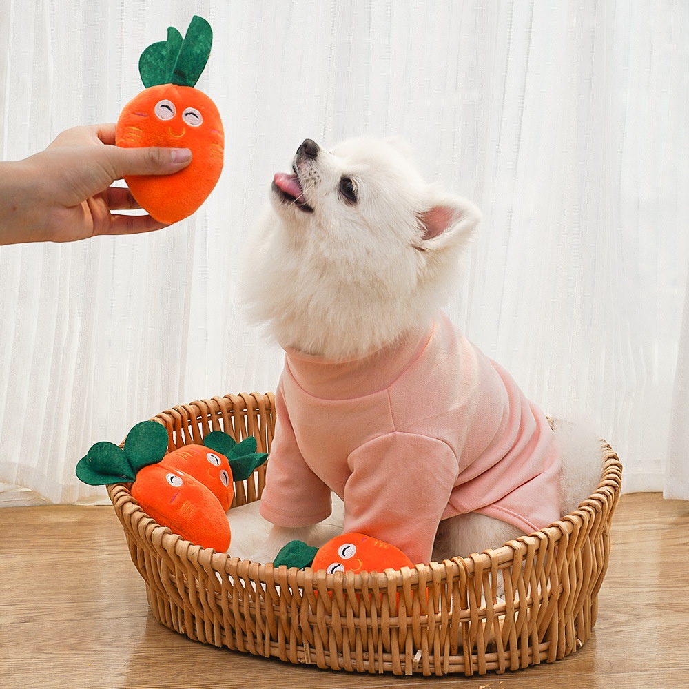 Squeaky Plush Carrot Pet Toy