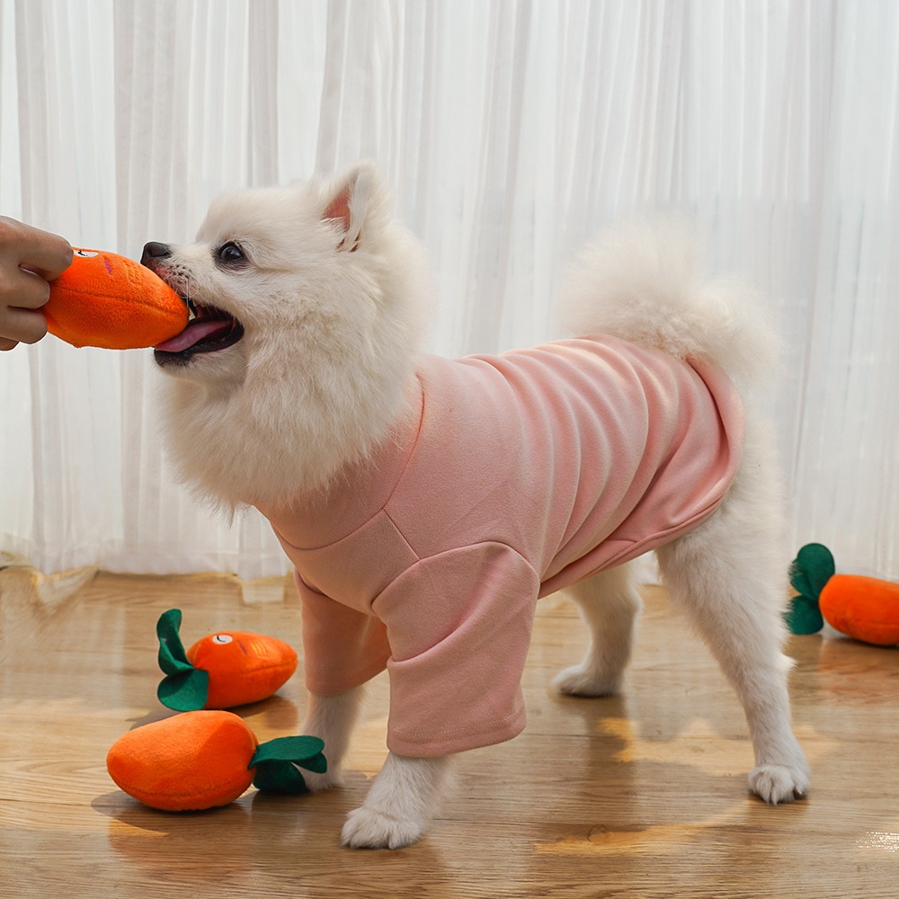 Squeaky Plush Carrot Pet Toy