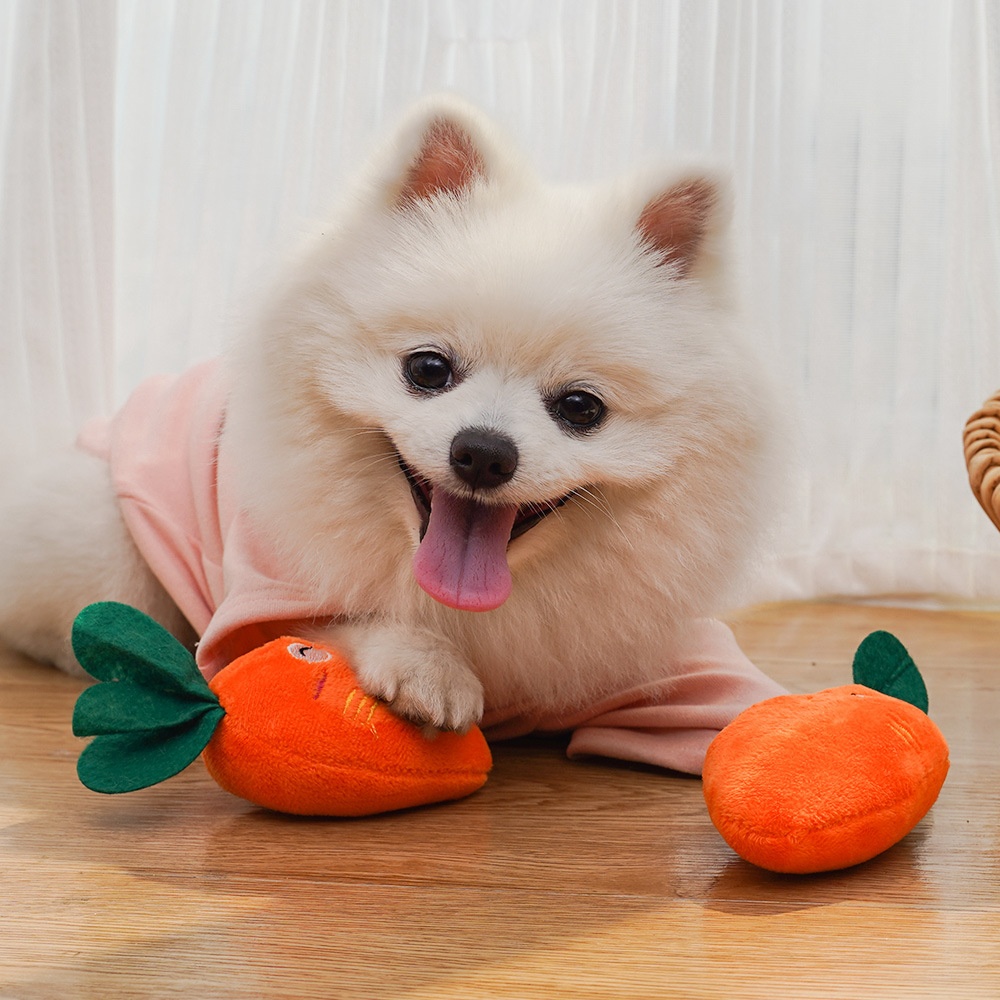 Squeaky Plush Carrot Pet Toy