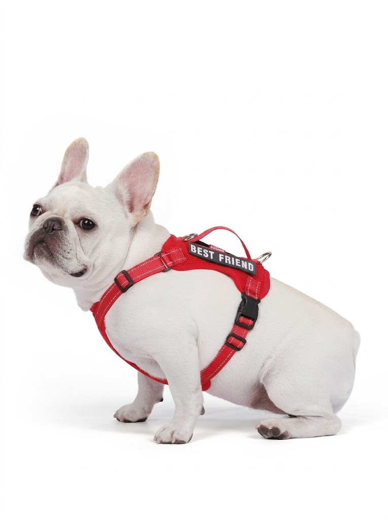 Lightweight Reflective Dog Harness & Leash Set - Breathable Mesh