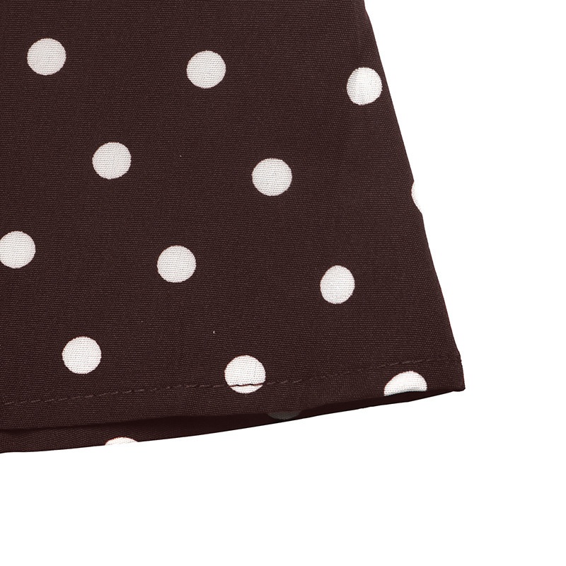Women's Polka Dot Tie Neck Long Sleeve Mini Dress