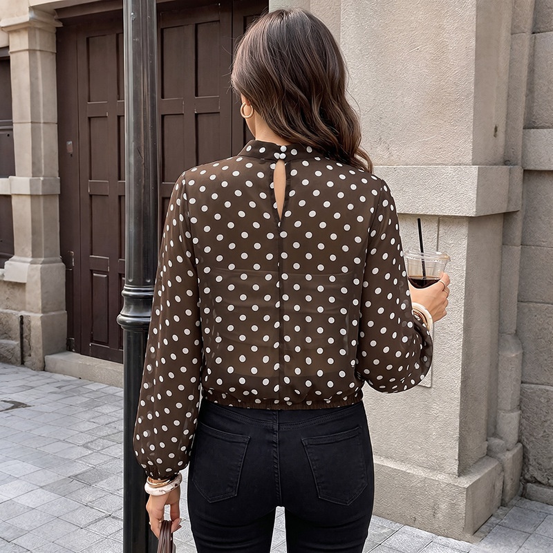 Women's Brown Polka Dot High Neck Long Sleeve Blouse