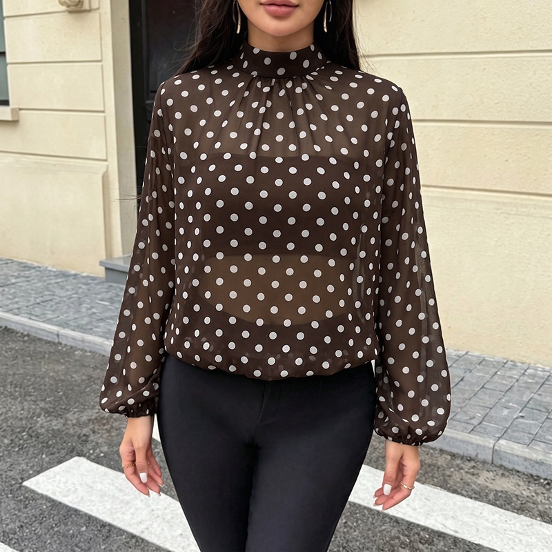 Women's Brown Polka Dot High Neck Long Sleeve Blouse