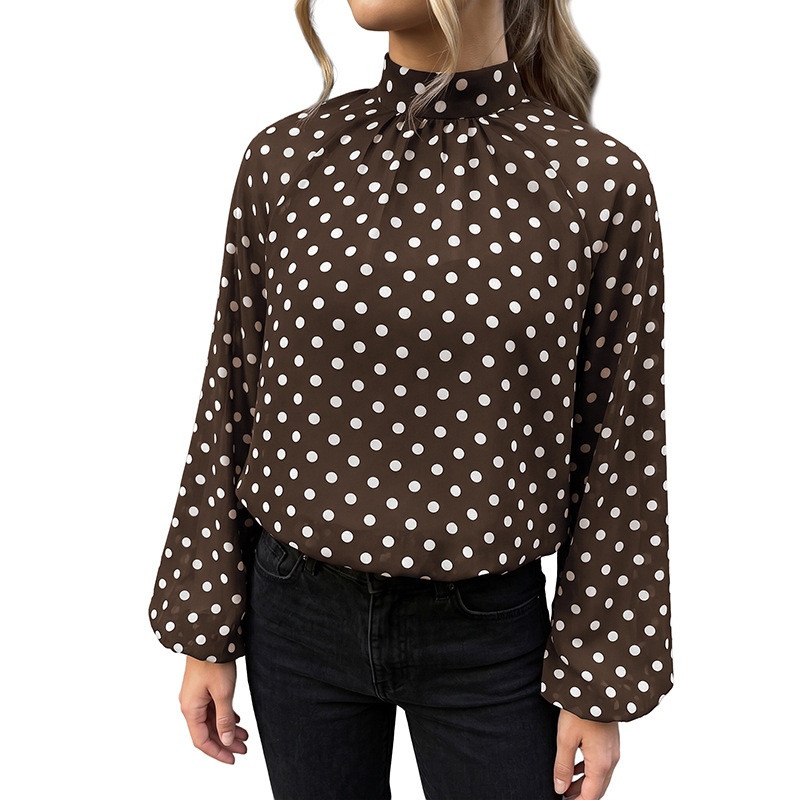 Women's Brown Polka Dot High Neck Long Sleeve Blouse