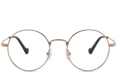 bs0218-0155_golden_round_titanium_glasses_corner-front