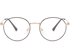 BS0406-0006_Golden_Oval_Metal_Glasses_front