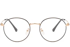 BS0406-0006_Golden_Oval_Metal_Glasses_front