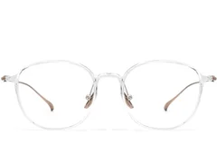 BS0406-0169_Transparent_Oval_Titanium_Glasses_front