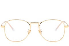 BS0406-0431_Golden_Aviator_Metal_Glasses_front