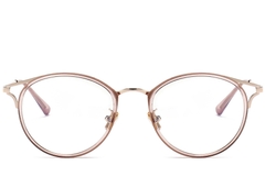 BS0406-0447_Pink_Oval_Metal_Glasses_front