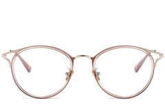 BS0406-0447_Pink_Oval_Metal_Glasses_front
