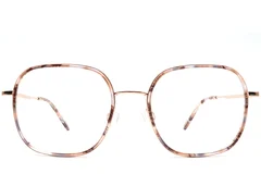 BS0420-0430_Tortoiseshell_Rectangular_Acetate_Glasses_front