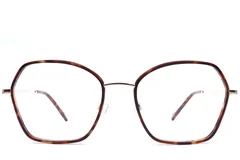 BS0420-0436_Tortoiseshell_Geometric_Acetate_Glasses_front